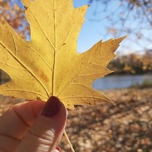 Meet your Posher, Line